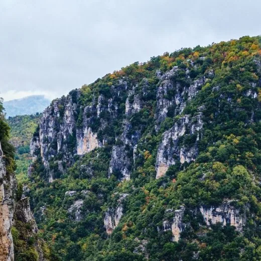 Φαράγγι με δάσος και βράχια στη Φθιώτιδα